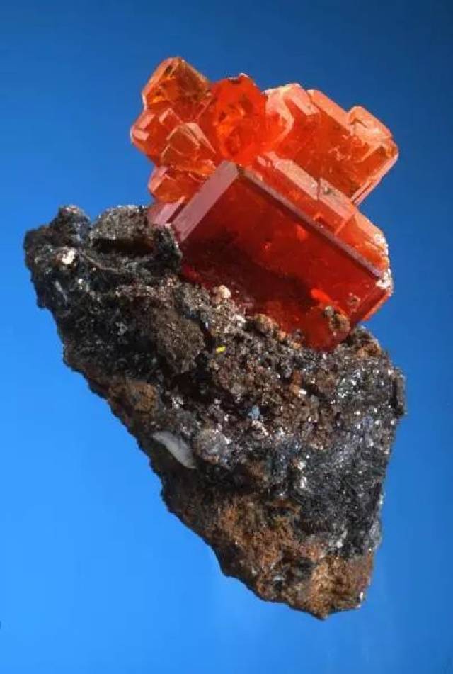 九游体育-.涯?瘍l?钼1〃??的简单介绍